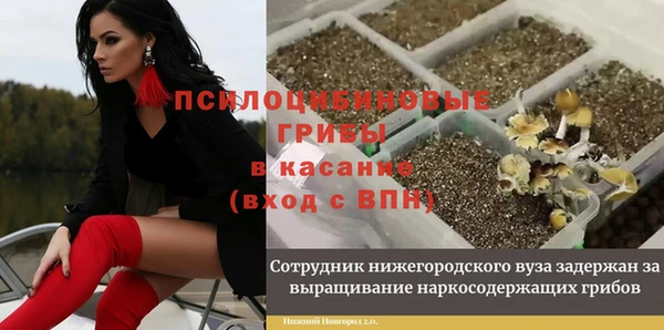 спиды Балахна