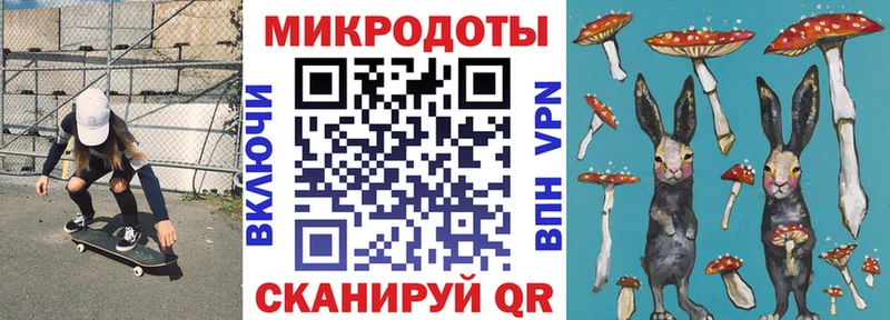 сколько стоит  Малая Вишера  кракен   Псилоцибиновые грибы Psilocybine cubensis 